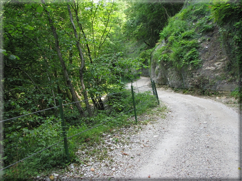 foto Lago del Corlo